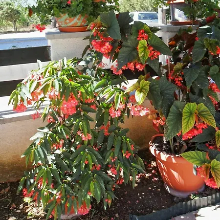 Apartment Bright On The Dalmatian Coast With Terrace, Garden And Sea View