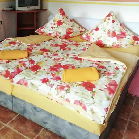Bright On The Dalmatian Coast With Terrace, Garden And Sea View Apartment